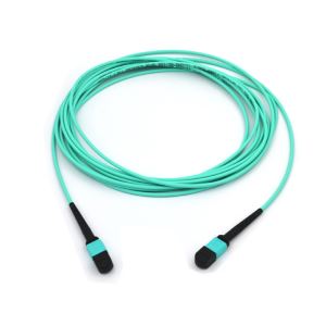 Pemasangan Kabel Batang MTP/MPO 10GB OM3 3.0Mm